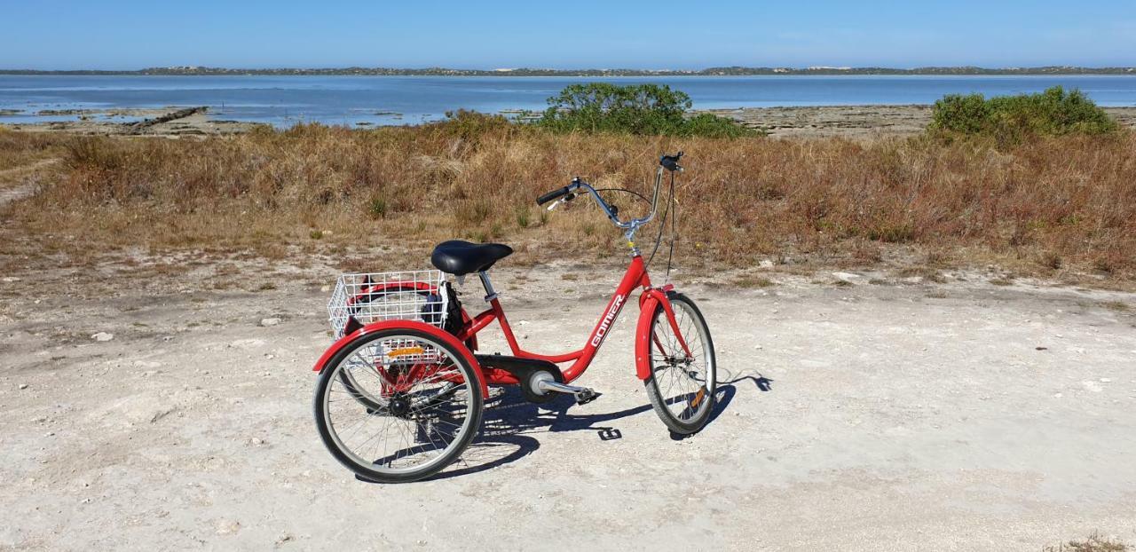 Samphire: Coorong Accommodation Meningie Exterior foto